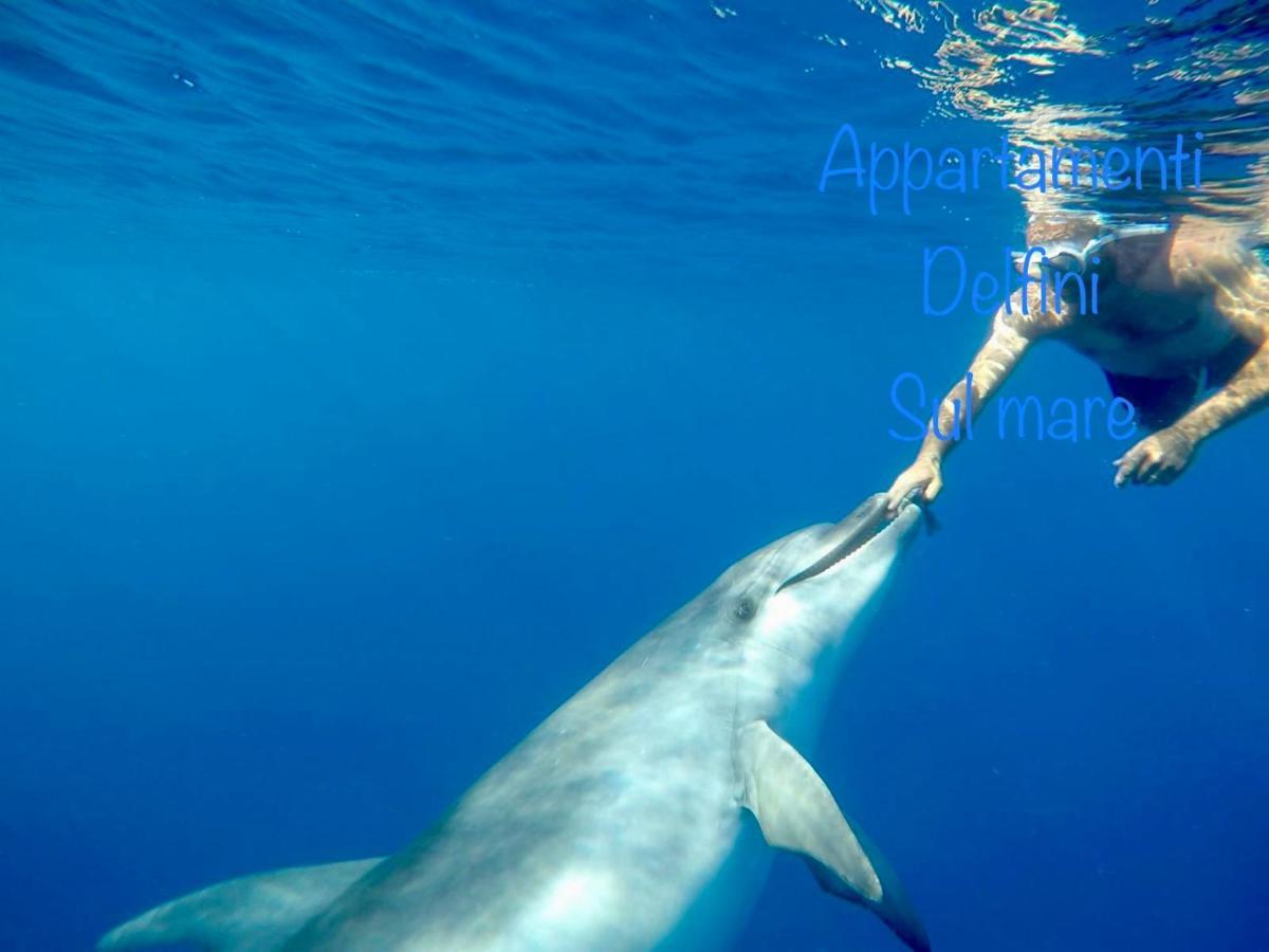 Appartamento Delfino Azzurro Golfo Aranci Eksteriør bilde